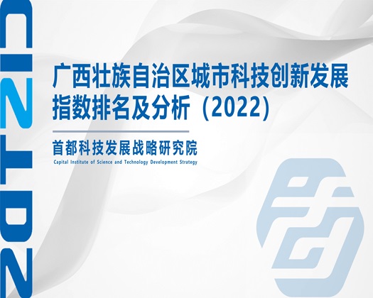 艹逼视频下载【成果发布】广西壮族自治区城市科技创新发展指数排名及分析（2022）